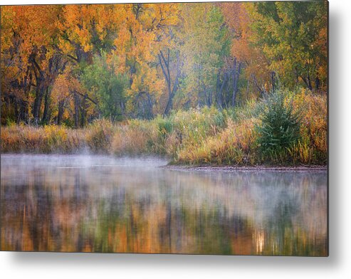 Pond Metal Print featuring the photograph Autumn's Canvas by Darren White