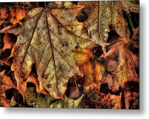 Autumn Metal Print featuring the photograph Autumn's Song by Steve Sullivan