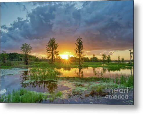 Usa Metal Print featuring the photograph Awakening by Brian Kamprath