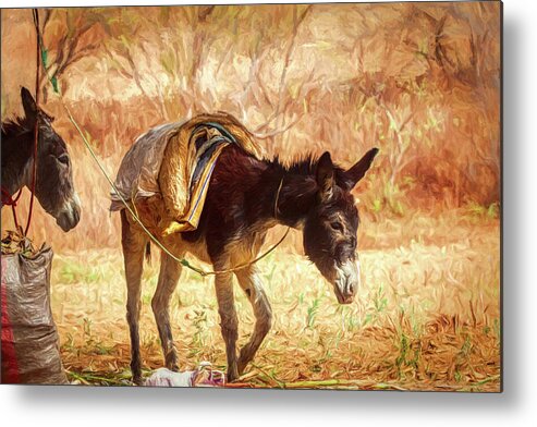 Backyard Metal Print featuring the digital art Backyard donkeys by Tatiana Travelways