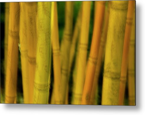 Bamboo Metal Print featuring the photograph Bamboo Blur 2 by Melissa Southern