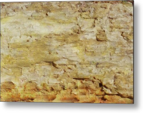 Bark Metal Print featuring the mixed media Bark Texture by Christopher Reed