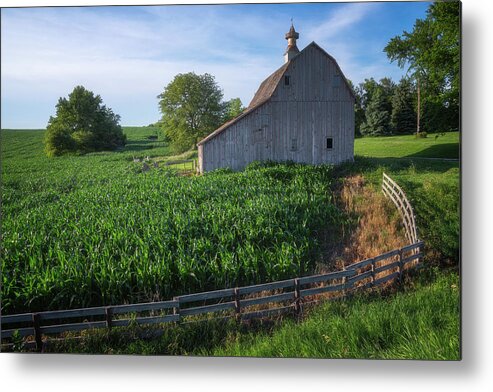 Iowa Metal Print featuring the photograph Barn and Corn by Darren White