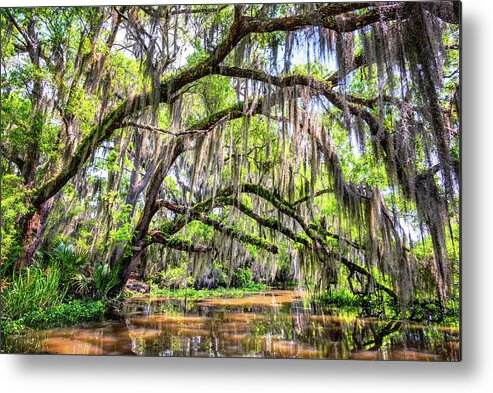 Louisiana Metal Print featuring the photograph Bayou Cathedral by Andy Crawford