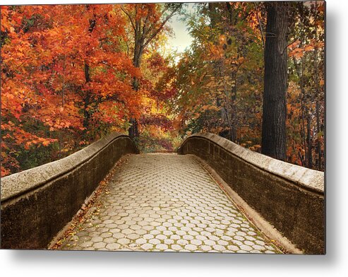 Autumn Metal Print featuring the photograph Autumn Woodland Overpass by Jessica Jenney