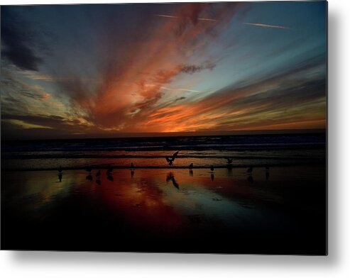 Beach Metal Print featuring the photograph Beach Birds and Sunset at Moss Landing by Amazing Action Photo Video