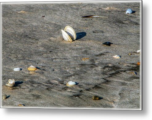 Sand Metal Print featuring the photograph Beach Things by Cathy Kovarik