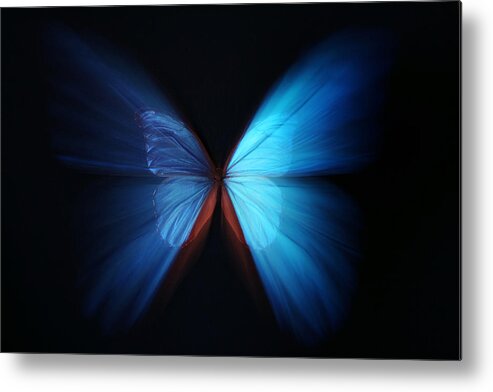 Insect Metal Print featuring the photograph Beautiful butterfly blue abstract with zoom effect by Alcuin