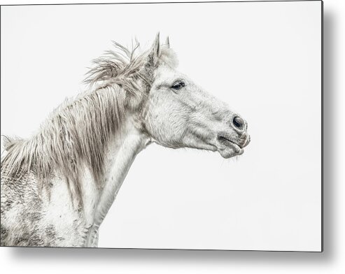 Photographs Metal Print featuring the photograph Beautiful Chaos III - Horse Art by Lisa Saint
