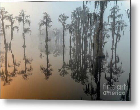 Fog Metal Print featuring the photograph Beauty In The Fog 2 by DB Hayes