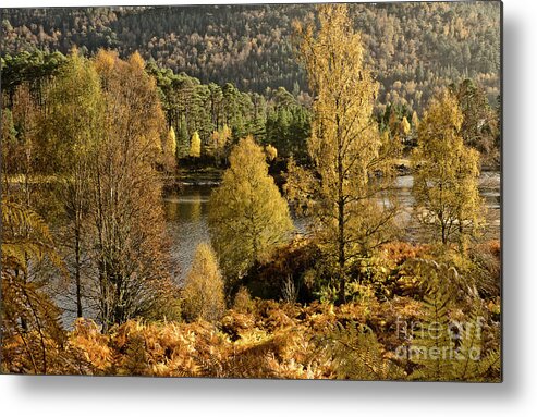 Beauty Golden Autumn Scotland River Landscape Beautiful Trees Leaves Woods Woodland Wonderland Reflections Rich Yellow Pleasant Delightful Magnificent Panorama Mindfulness Artistic Serenity Inspirational Serene Tranquil Tranquillity Stylish Magic Poetic Striking Charming Atmospheric Aesthetic Attractive Picturesque Scenery Glorious Impression Impressionistic Impressive Stunning Fabulous Thrilling Pleasing Stimulating Magical Color Vivid Bright Gold Calm Relaxing Delicate Rusty Fiery Bracken Fall Metal Print featuring the photograph BEAUTY OF GOLDEN AUTUMN Scotland, river Glen Affric, Highlands by Tatiana Bogracheva