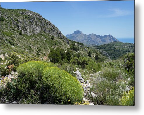 Mountain Landscape Metal Print featuring the photograph Green mountain landscape near the Mediterranean coast by Adriana Mueller