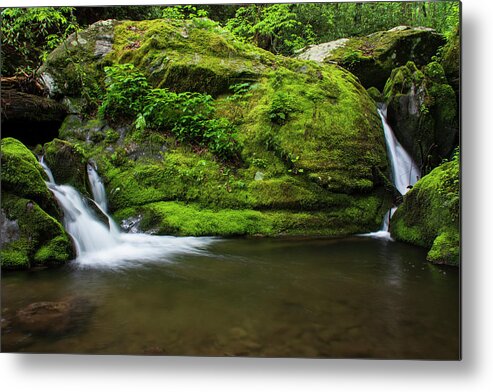 Great Smoky Mountains National Park Metal Print featuring the photograph Below 1000 Drips 2 by Melissa Southern
