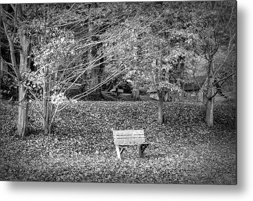 Barns Metal Print featuring the photograph Bench in the Fallen Leaves Creeper Trail in Autumn Fall Black an by Debra and Dave Vanderlaan