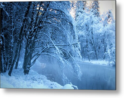 Yosemite River Metal Print featuring the photograph Bending branches by Leslie Struxness