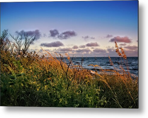 Anna Maria Island Metal Print featuring the photograph Beyond the Sea Oats by Robert Stanhope