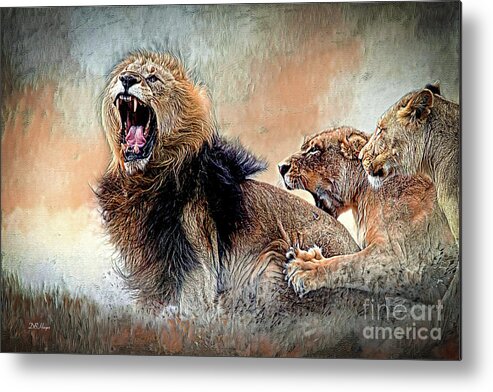 Lions Metal Print featuring the mixed media Bickering Three by DB Hayes