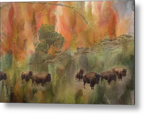 Buffalo Art Metal Print featuring the photograph Bison Herd Watching by James BO Insogna