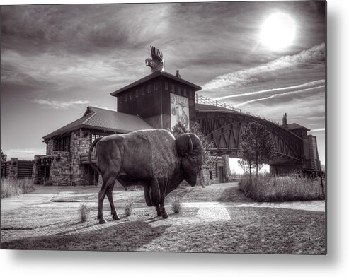 Nebraska Metal Print featuring the photograph Bison, Kearney Archway by Jeff White