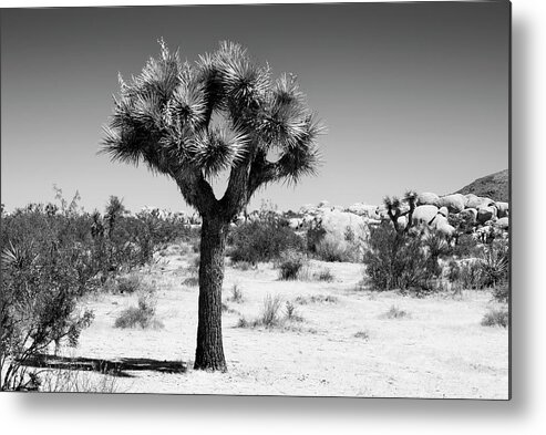 Desert Metal Print featuring the photograph Black California Series - The Joshua Tree by Philippe HUGONNARD