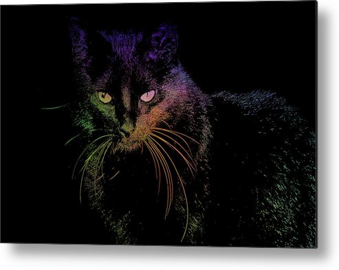 Cat Metal Print featuring the digital art Black Cat with Plasma Textures by Katherine Nutt