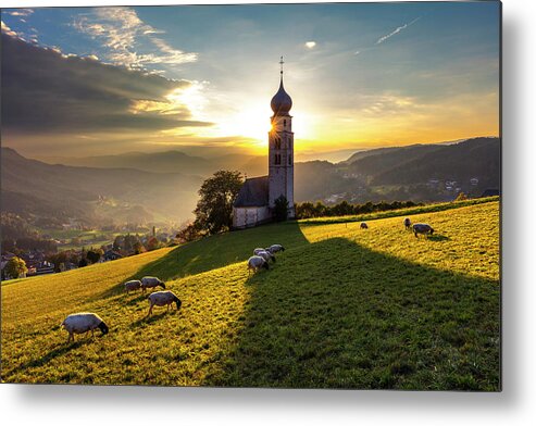 Nature Metal Print featuring the photograph Black Heads by Evgeni Dinev