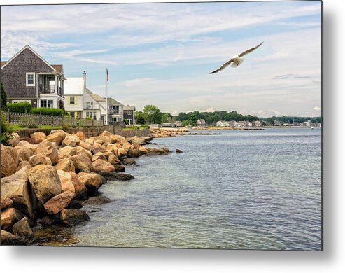 America Metal Print featuring the photograph Black Point Seagull by Marianne Campolongo