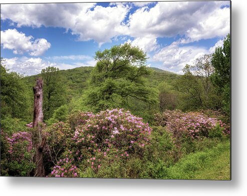 Blue Ridge Parkway Metal Print featuring the photograph Black Rock Hill - Blue Ridge Parkway by Susan Rissi Tregoning