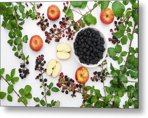 Blackberry Metal Print featuring the photograph Blackberries and Apples Pattern by Tim Gainey