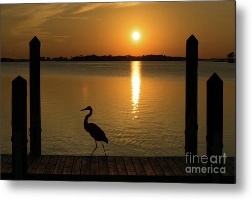 Reflection Metal Print featuring the photograph Blue Heron on the Dock at Sunset by Beachtown Views