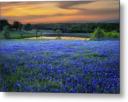 Texas Bluebonnets Metal Print featuring the photograph Bluebonnet Lake Vista Texas Sunset - Wildflowers landscape flowers pond by Jon Holiday