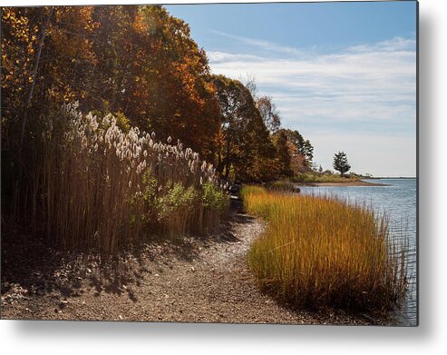 Bluff Point Metal Print featuring the photograph Bluff Point Stroll by Kirkodd Photography Of New England
