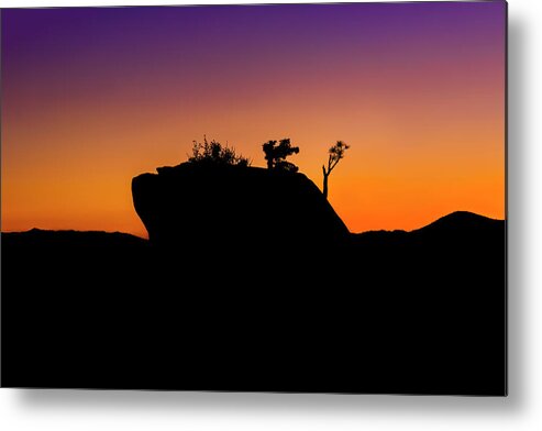 Sunset Metal Print featuring the photograph Bonsai Rock Silhouette by Gary Geddes