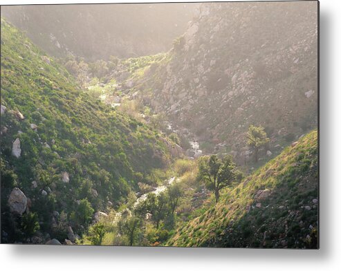 San Diego Metal Print featuring the photograph Boulder Creek Canyon in Spring by Alexander Kunz