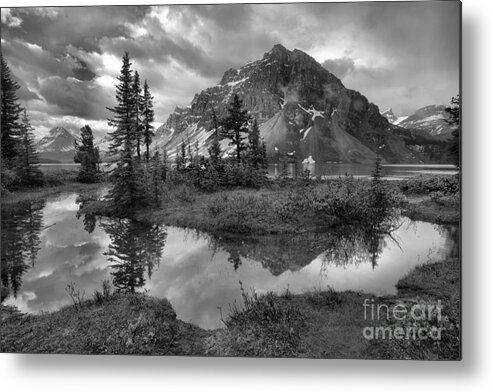Bow Metal Print featuring the photograph Bow Lake Wetlands Reflections Black And White by Adam Jewell