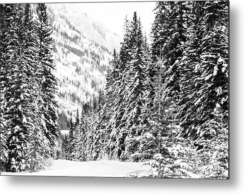 Rocky Mountains Metal Print featuring the photograph Bow Valley Parkway in Winter by Wilko van de Kamp Fine Photo Art