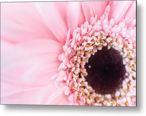 Airy Metal Print featuring the photograph Breathless by Christi Kraft