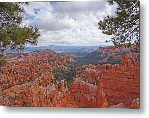 Bryce Canyon National Park Metal Print featuring the photograph Bryce Canyon National Park - Panorama with Branches by Yvonne Jasinski