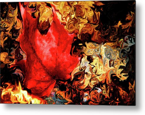 Maple Leaf Metal Print featuring the photograph Bullseye by Simone Hester