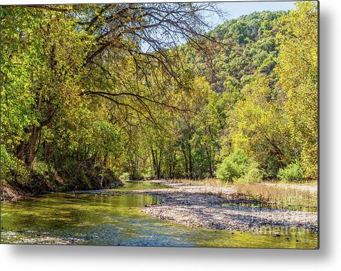 Busiek State Forest Metal Print featuring the photograph Busiek Forest Fall Camp Creek by Jennifer White