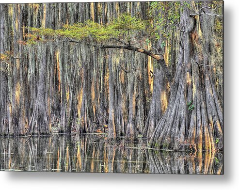 Caddo Lake Metal Print featuring the photograph Caddo Color Reflectiona by JC Findley
