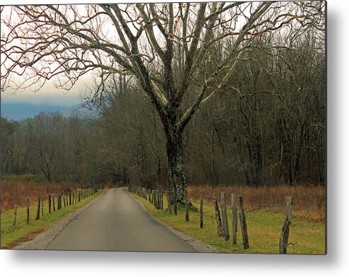 Landscape Metal Print featuring the photograph Cade's Cove by Jamie Tyler