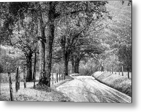 Cades Metal Print featuring the photograph Cades Cove Sparks Lane Loop Black and White by Debra and Dave Vanderlaan