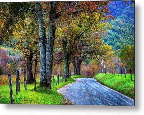 Appalachia Metal Print featuring the photograph Cades Cove Sparks Lane Loop by Debra and Dave Vanderlaan