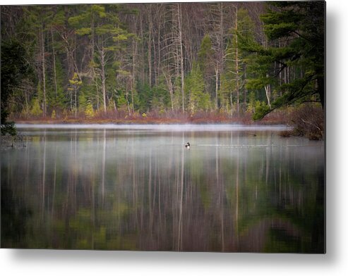 Nature Metal Print featuring the photograph Canada Goose on a Misty Swift River Morning by William Dickman