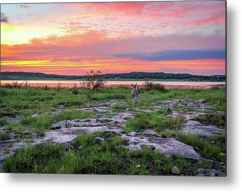 Hill Country Metal Print featuring the photograph Canyon Lake Sunset by Erin K Images
