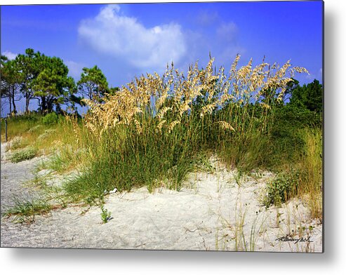 Color Metal Print featuring the photograph Cape Lookout Island by Alan Hausenflock