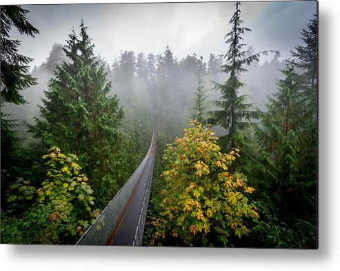 Tranquility Metal Print featuring the photograph Capilano suspension bridge over rainforest, Vancouver, British Colombia, Canada by Richard Thrasher