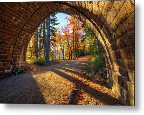 Carriage Road Metal Print featuring the photograph Carriage Road a4570 by Greg Hartford