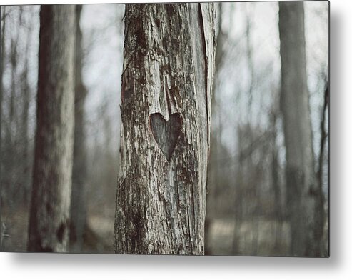 Tree Metal Print featuring the photograph Carved by Carrie Ann Grippo-Pike